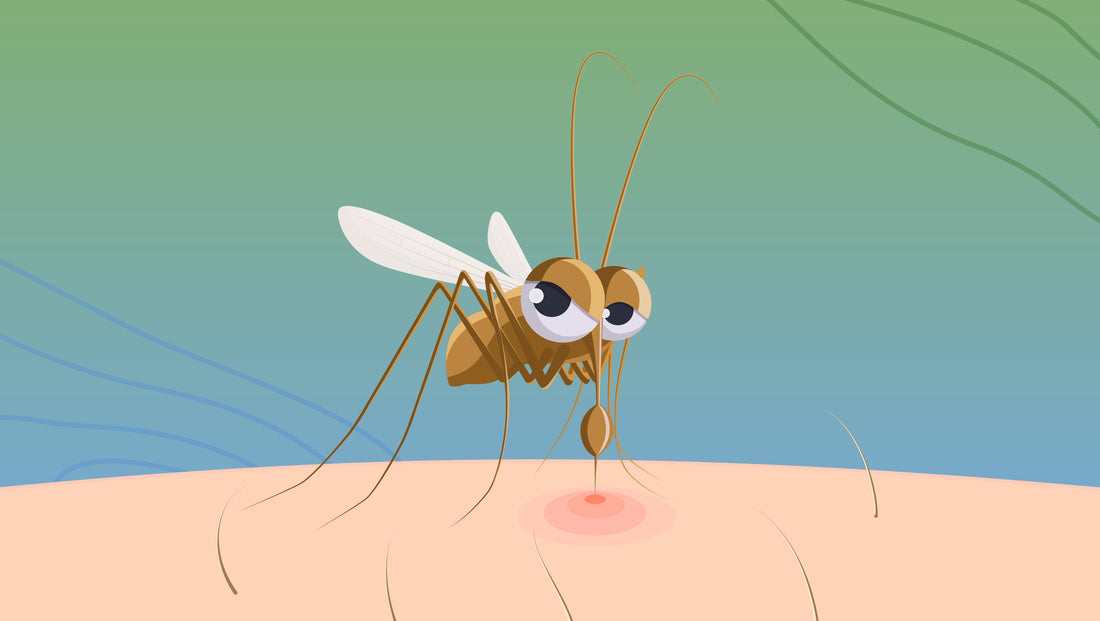 How Long Do Mosquito Bites Itch?