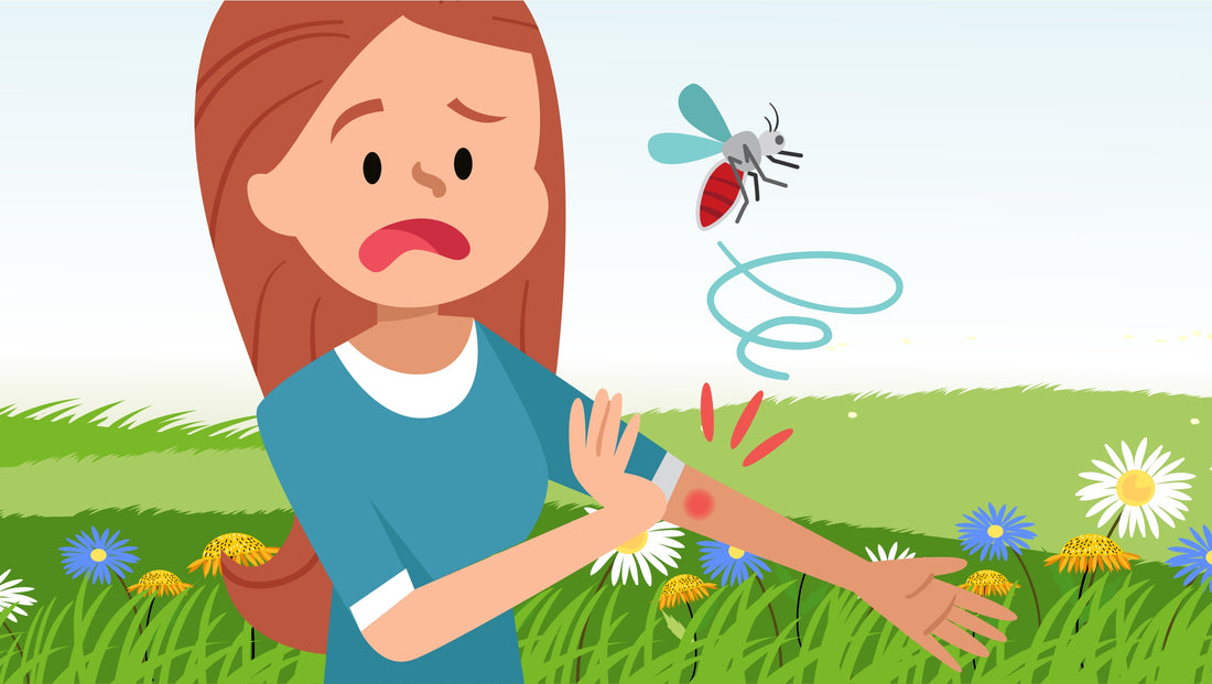 Mosquito Attacks and How To Prevent Them